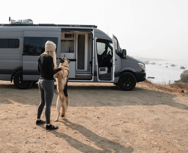 How To Travel With Your Dog In a Van