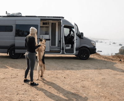 How To Travel With a Dog In a Van